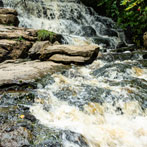 Kisdon Force